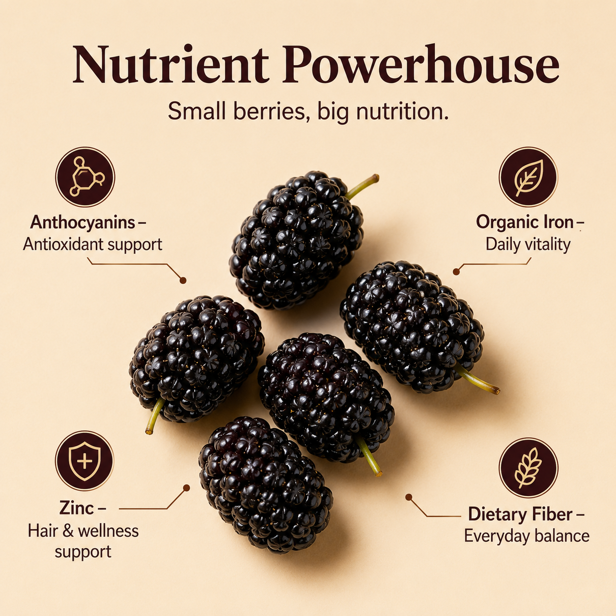 Dried Mulberries – Nourish Liver & Kidney, Darken Hair, Perfect for Night Owls-JXX