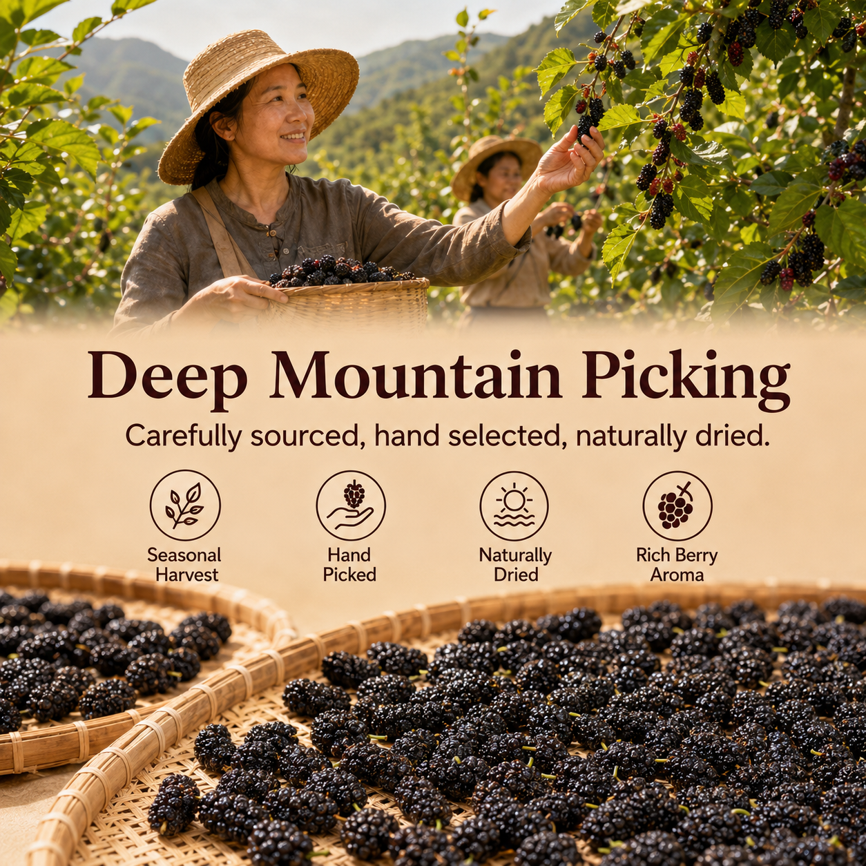 Dried Mulberries – Nourish Liver & Kidney, Darken Hair, Perfect for Night Owls-JXX