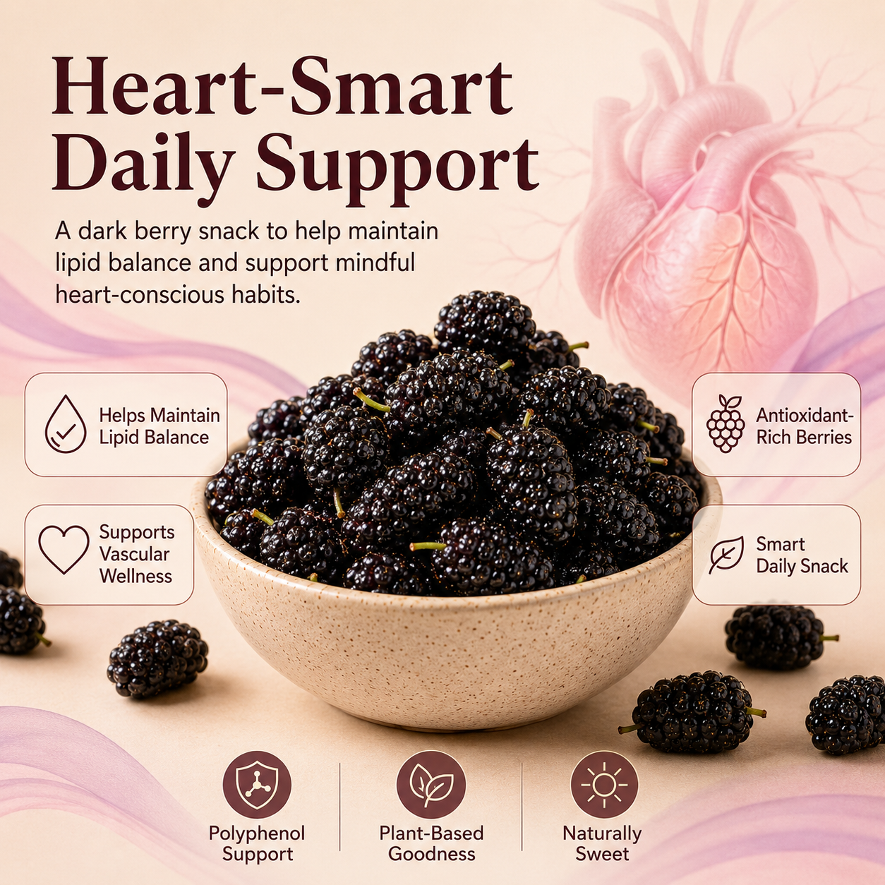 Dried Mulberries – Nourish Liver & Kidney, Darken Hair, Perfect for Night Owls-JXX