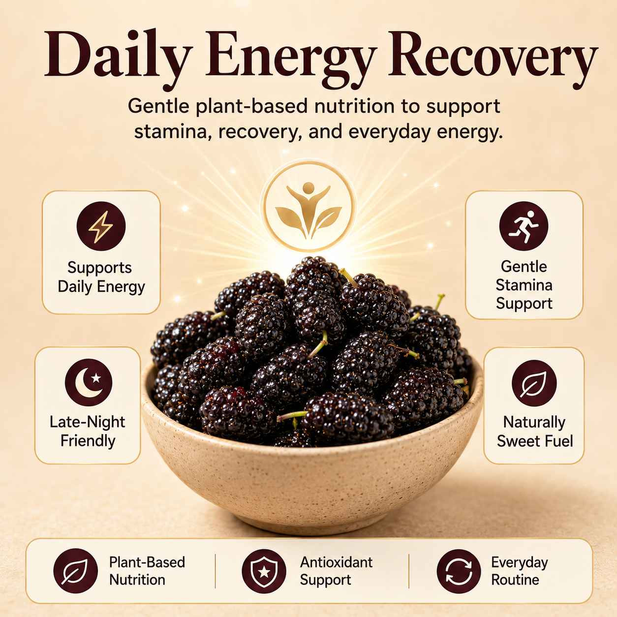 Dried Mulberries – Nourish Liver & Kidney, Darken Hair, Perfect for Night Owls-JXX