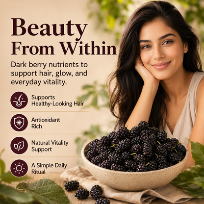 Dried Mulberries – Nourish Liver & Kidney, Darken Hair, Perfect for Night Owls-JXX